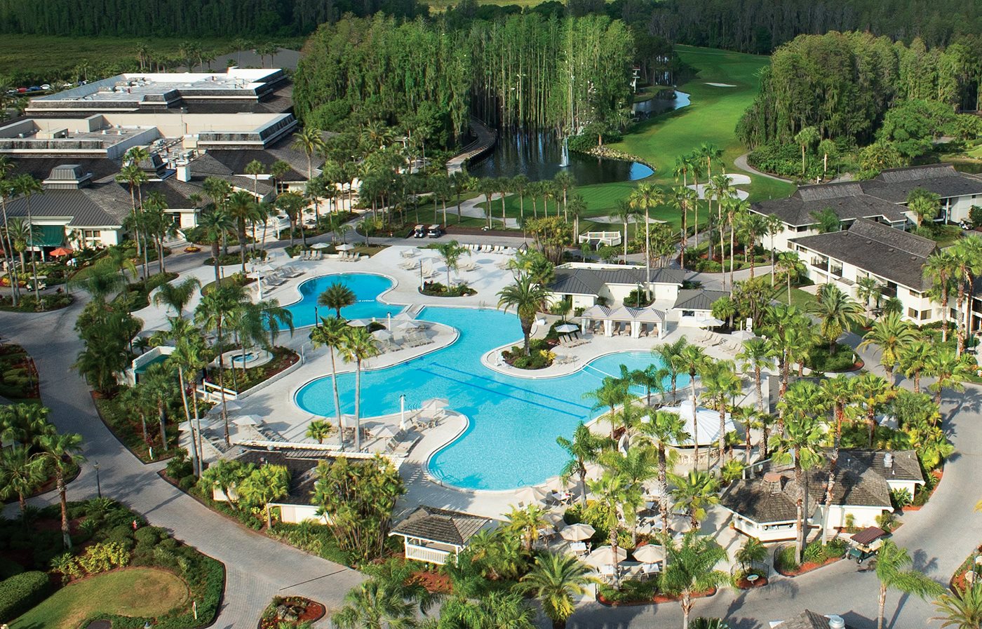 Saddlebrook Resort Near Tampa